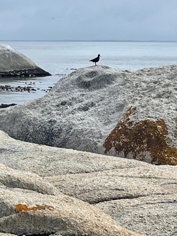 Whale Rock Apartment Cape Town Bagian luar foto